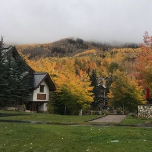 Meet your Posher, Allie